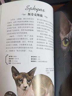 强烈推荐一本书《猫》