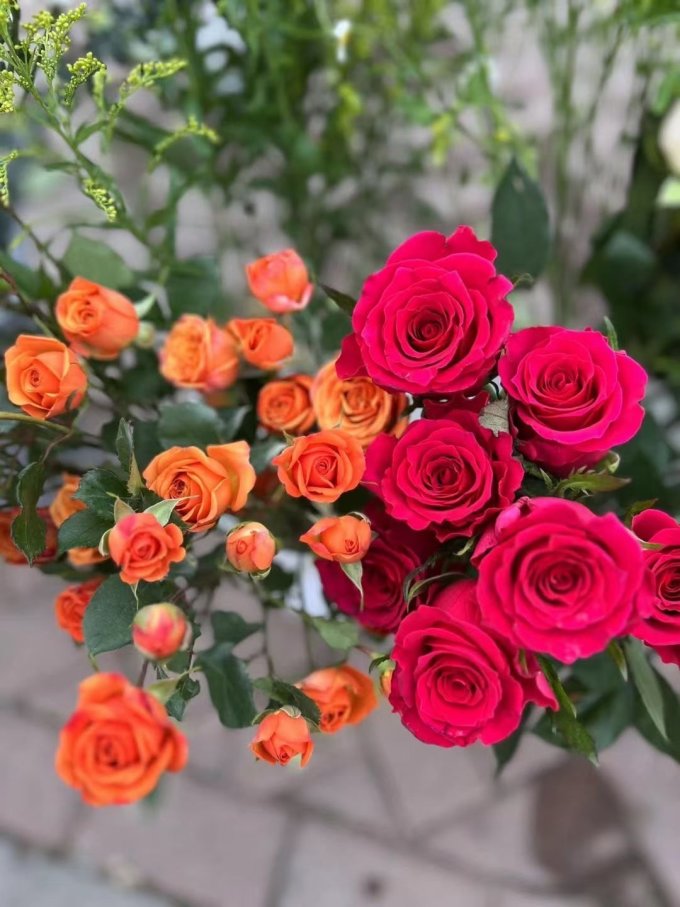 京东鲜花鲜花