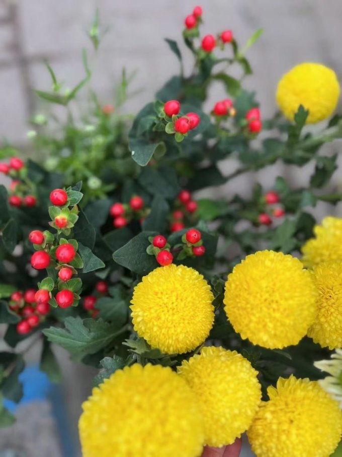 京东鲜花鲜花