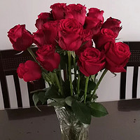花期特别长的玫瑰花，过年必买的家居鲜花