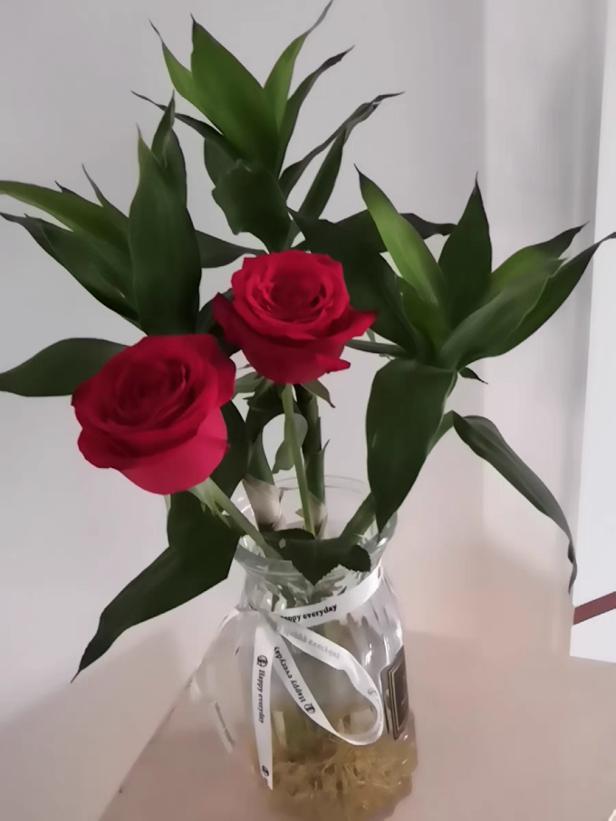 京东鲜花鲜花绿植