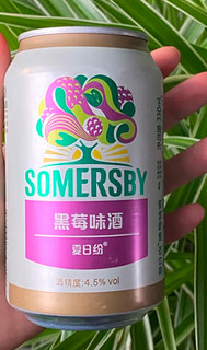 夏日纷Somersby果味酒330ml*2罐装(2罐黑莓/2罐苹果/2罐百香果香橙随机) 年货送礼