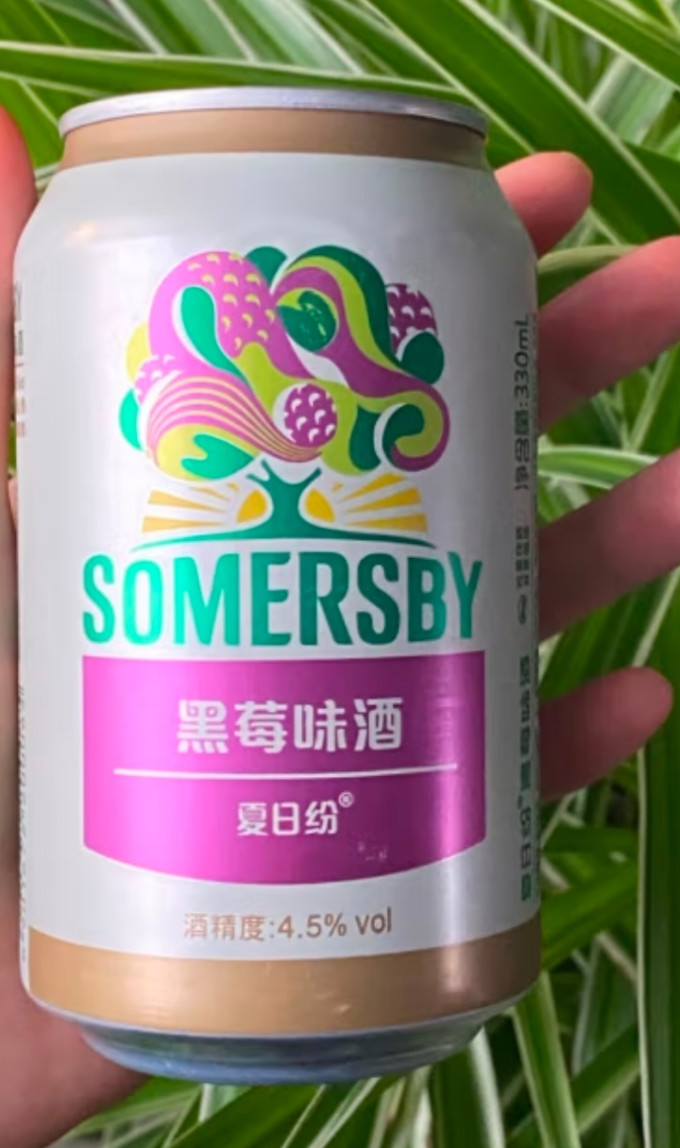 夏日纷啤酒