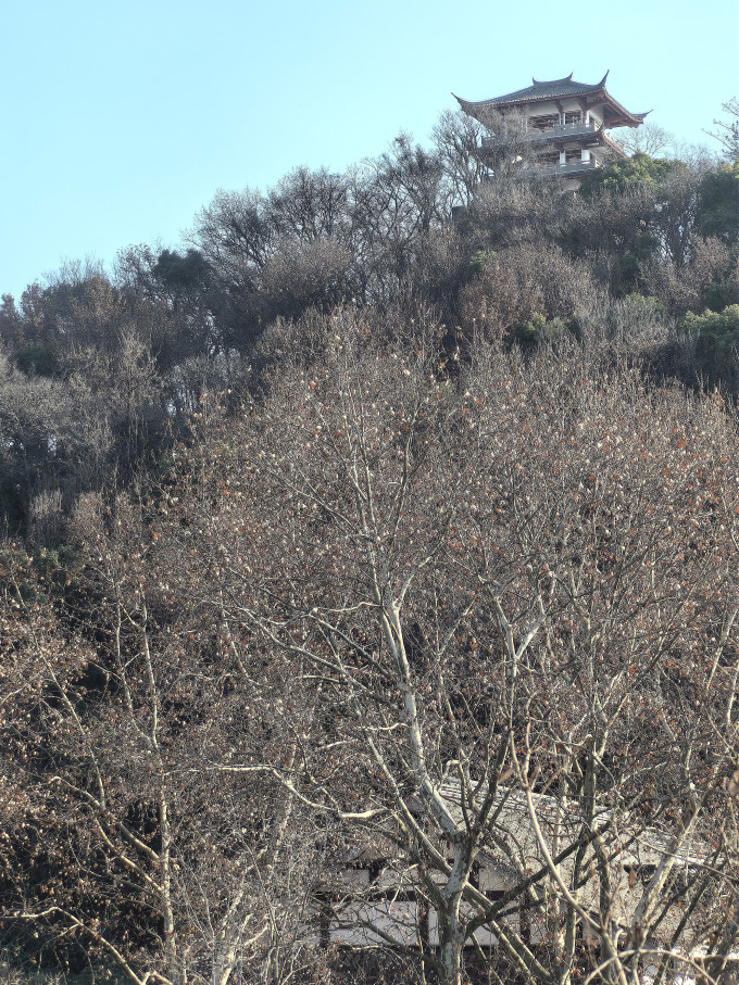 国内住宿