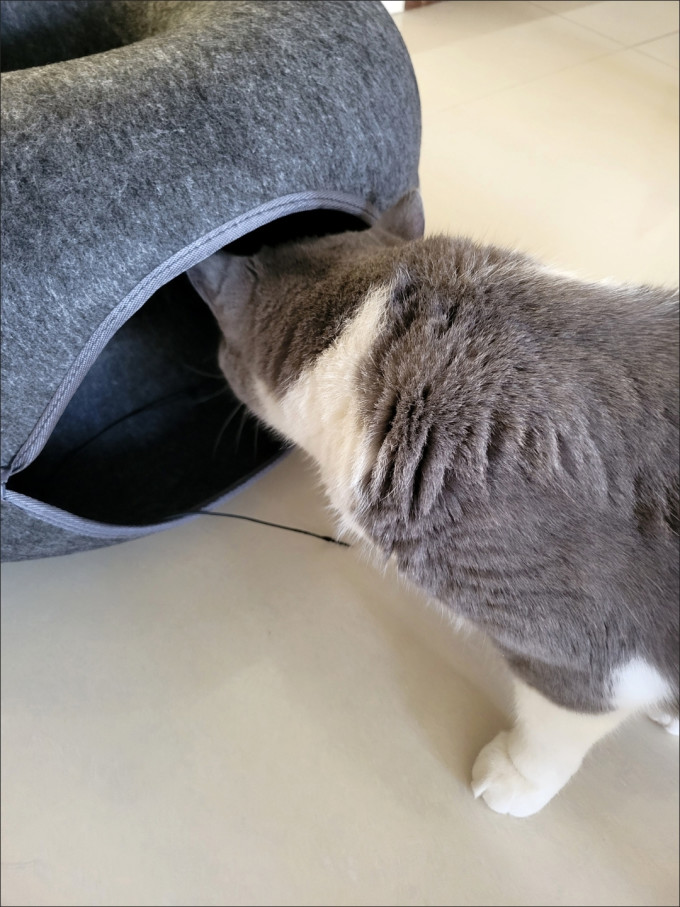 憨憨乐园猫狗窝