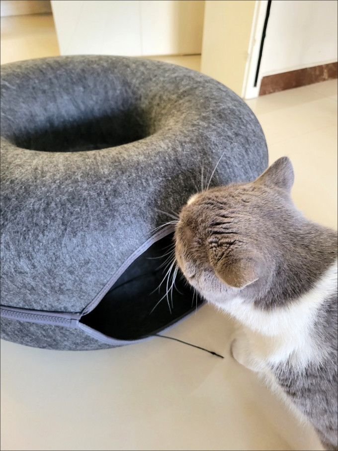 憨憨乐园猫狗窝