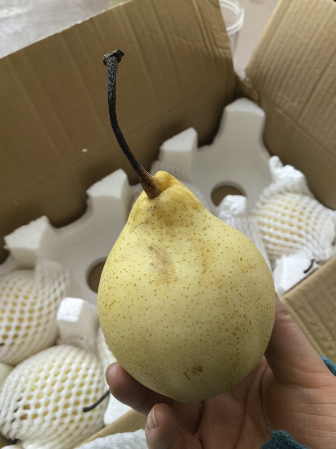 京鲜生其他水果