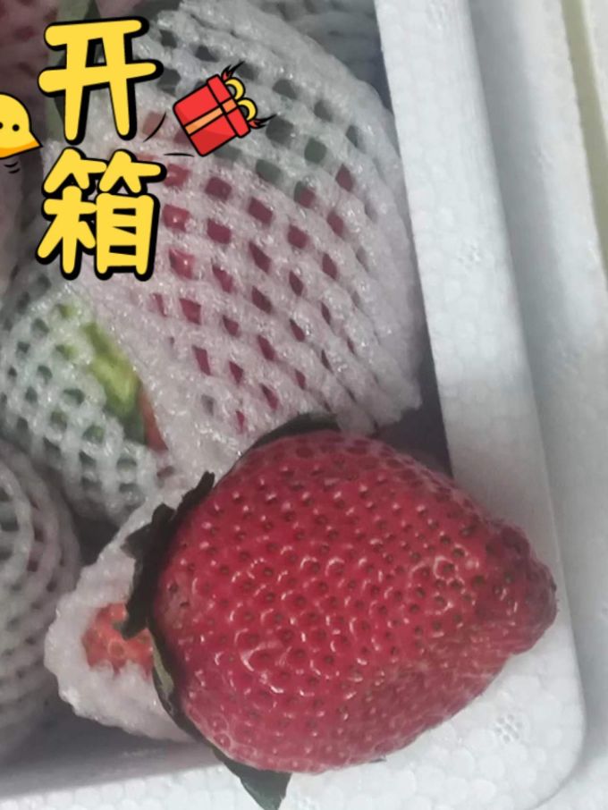 兰怜草莓