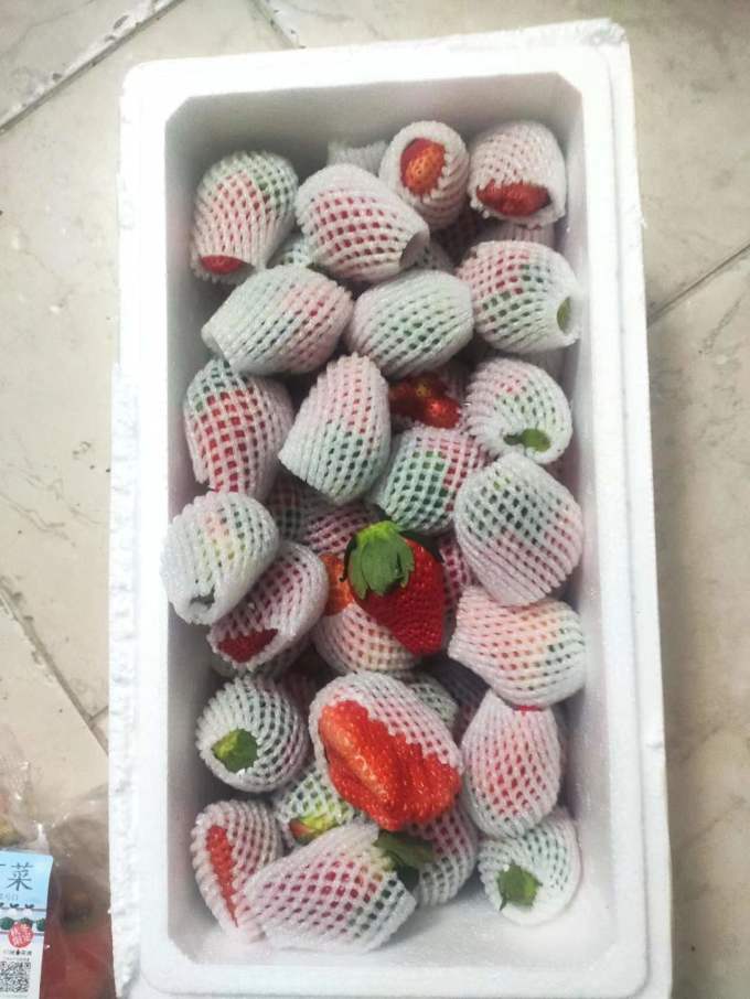 兰怜草莓