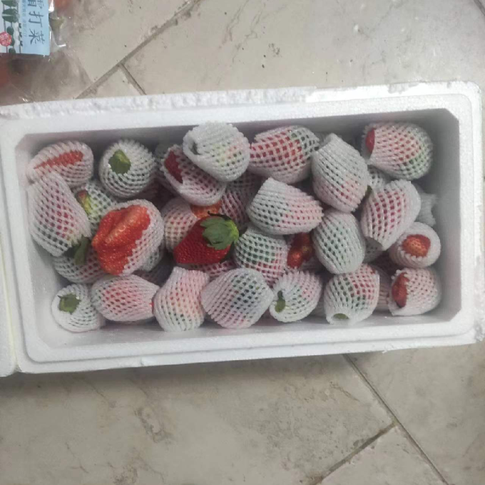 兰怜草莓