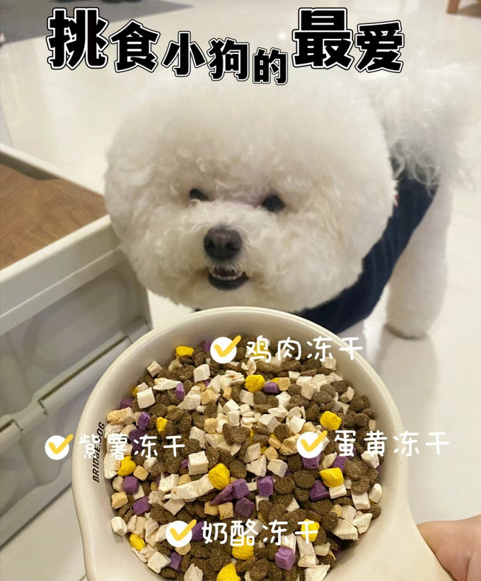 比乐狗狗干粮