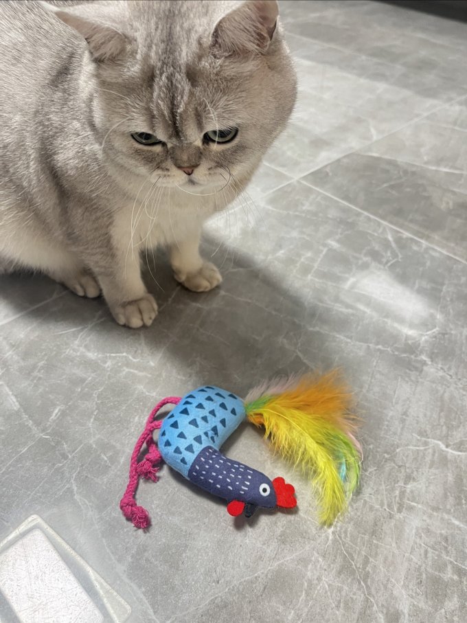猫玩具