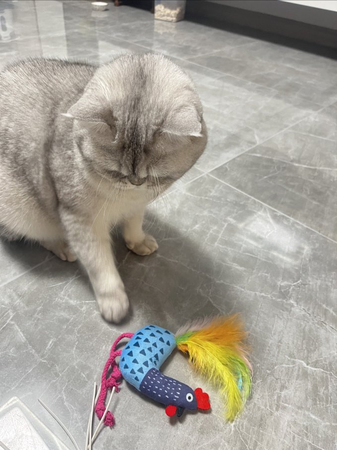 猫玩具