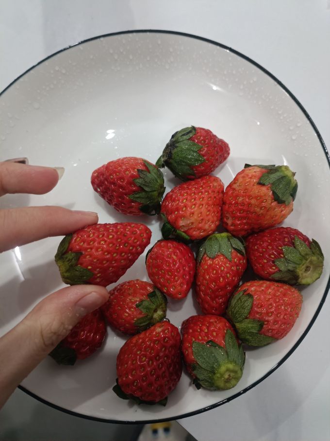 柚萝草莓