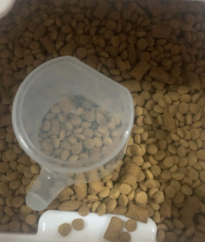 伟嘉猫咪干粮