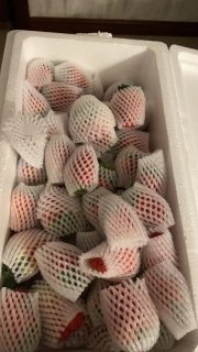 柚琳兰怜大凉山奶油草莓安全下车