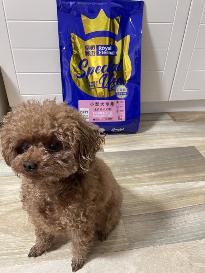 皇恒赛级狗粮