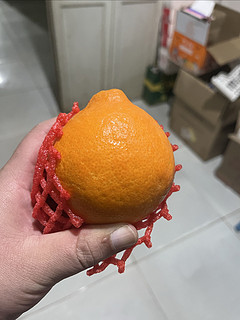 汁水超多的果冻橙