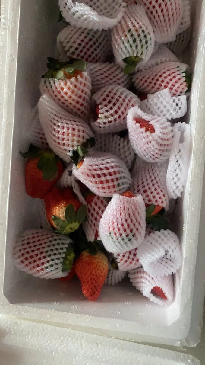 巨无霸草莓
