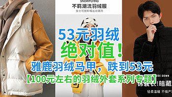 53元羽绒，绝对值！雅鹿羽绒马甲，跌到53元白菜价，比T恤还便宜~