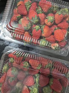 网购大凉山奶油草莓🍓