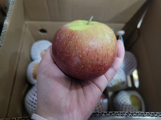 京鲜生 四川大凉山丑苹果净重5kg盐源富士 单果190g以上 水果