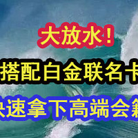 大放水！搭配白金联名卡，快速拿下高端会籍！