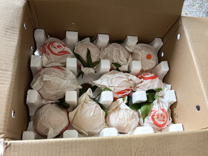 沃象橙子