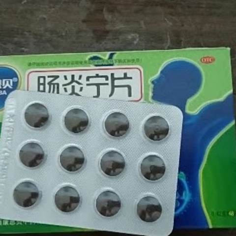 康恩贝肠炎宁片