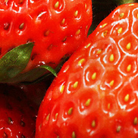 惠味福四川大凉山红颜牛奶油大草莓生鲜水果礼盒部分地区次日达 3斤29.9