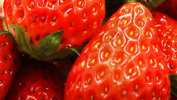 惠味福四川大凉山红颜牛奶油大草莓生鲜水果礼盒部分地区次日达 3斤29.9