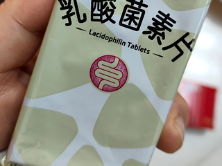 乳酸菌素片