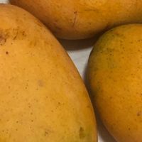 芒果新吃法，让你欲罢不能的创意料理！