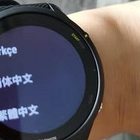 佳明（GARMIN）Forerunner255神秘灰心率血氧HRV跑步铁三游泳户外运动手表