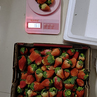 很大很甜的草莓，净重5斤