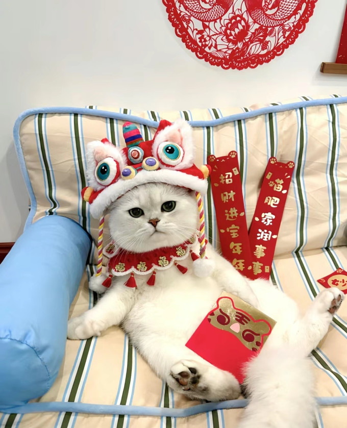 希宝猫零食