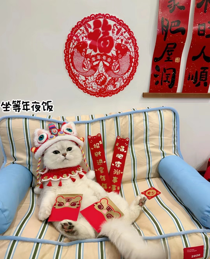 希宝猫零食