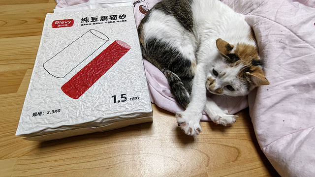 养猫的必需品猫砂要不要也来两包？