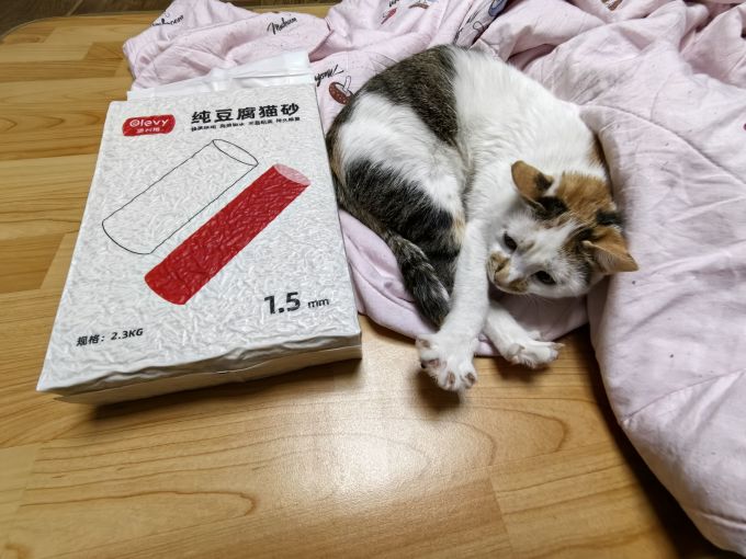 澳利维猫砂