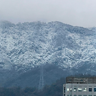 作为南方小土豆，我们竟然也下雪了，真的好开心好兴奋好激动啊～哦哦哦耶耶耶（坐标：福州）