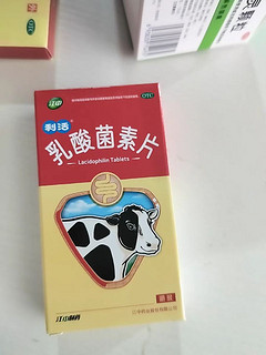 乳酸菌素片