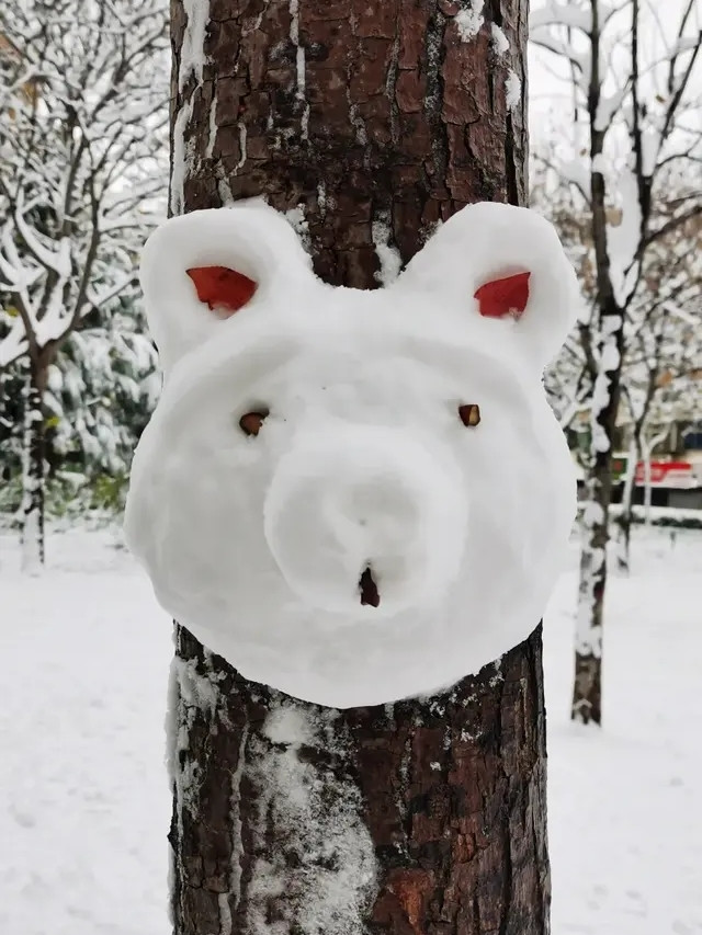 真不敢想象冬天不下一场雪会有多无趣