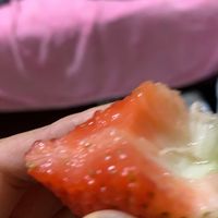 君闵红颜99草莓新鲜草莓当季现摘现发烘焙草莓 下单拍2合并发5斤装 精品大凉山红颜99草莓 2.5