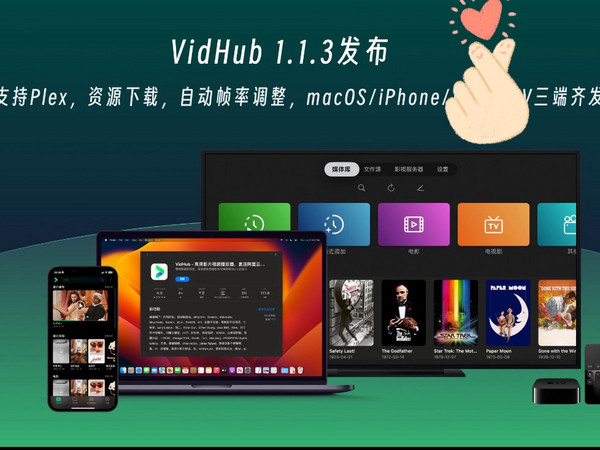 Infuse平替VidHub 1.1.3发布支持Plex了！