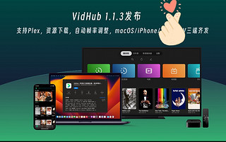 Infuse平替VidHub 1.1.3发布支持Plex了！