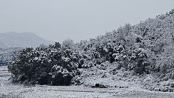 暌违16年，江西下暴雪——一加12镜头下的雪景、人像 