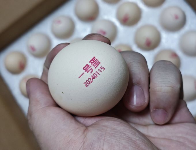 1号会员店蛋类