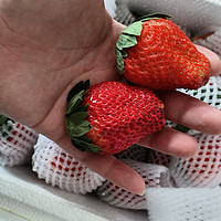 个大味甜，网上买草莓整个惊喜到。