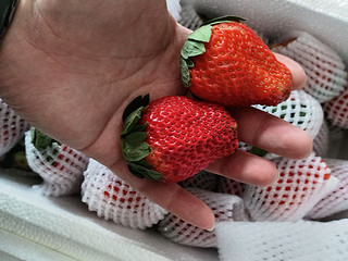 个大味甜，网上买草莓整个惊喜到。