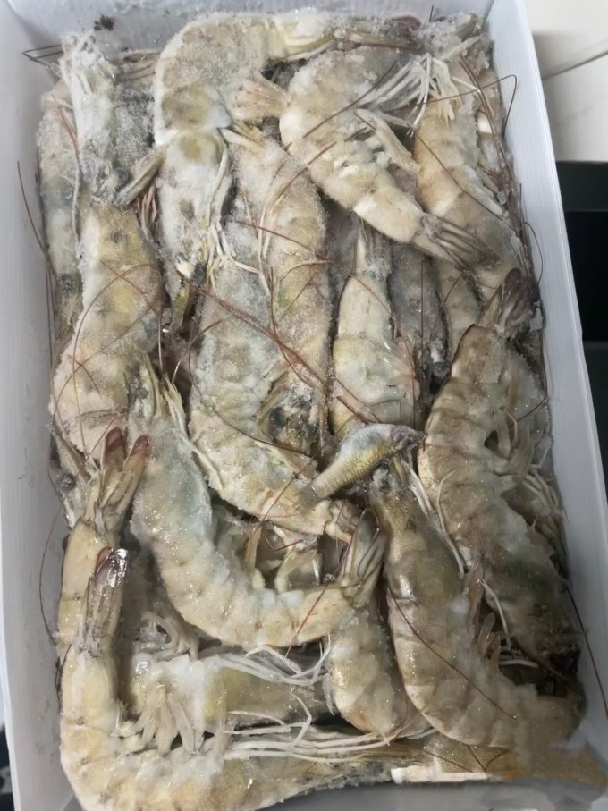 东方甄选虾类